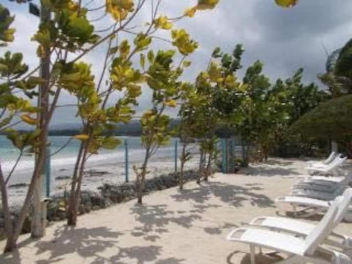 Villa @ The Palms - Ocho Rios Richmond 외부 사진